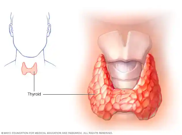 What is the Home remidies for thyroid ..